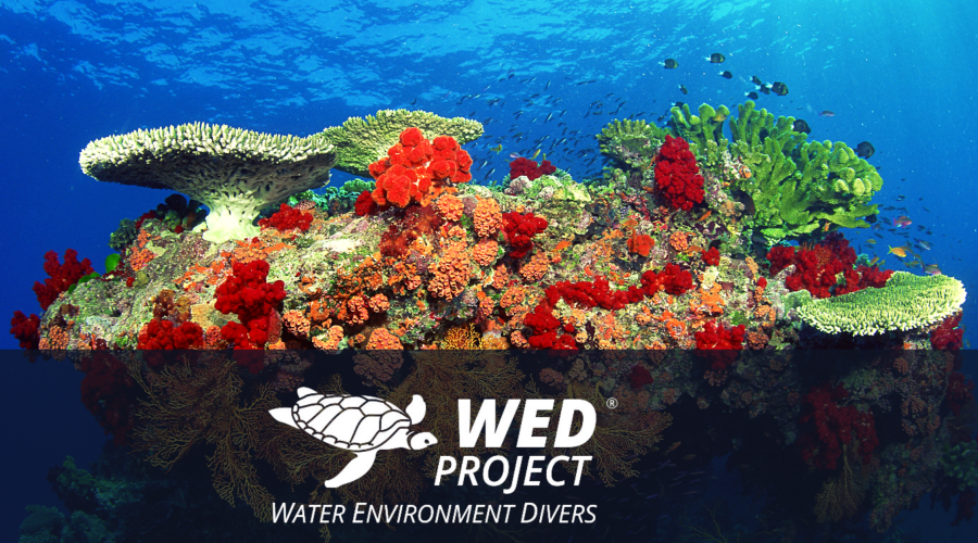 EGESAKUD dünyaca ünlü PSS ile Türkiye denizlerinin korunması için proje ortağı oldu.